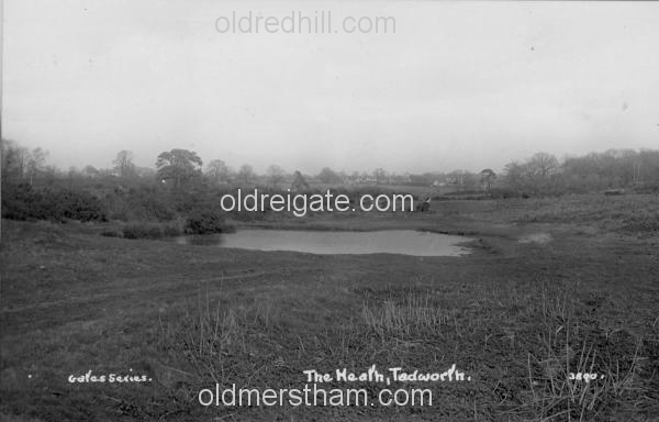 Image number 142&prevurl=bansteadheath