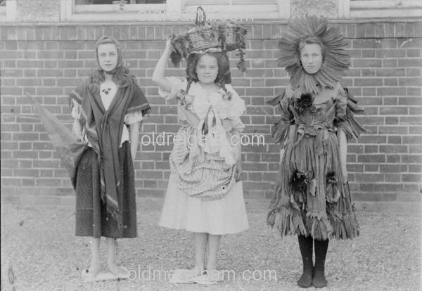 Image number 1812&prevurl=frankwilkins