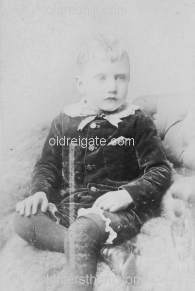 Image number 2652&prevurl=jberryman