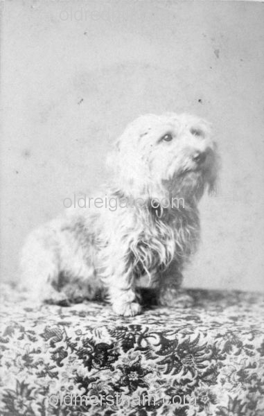 Image number 6193&prevurl=jberryman