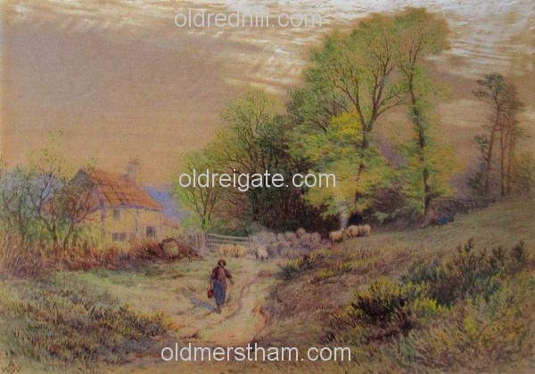 Image number 71&prevurl=alfredwalterwilliams