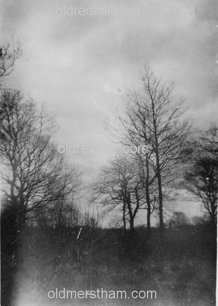 Image number 783&prevurl=chaldon