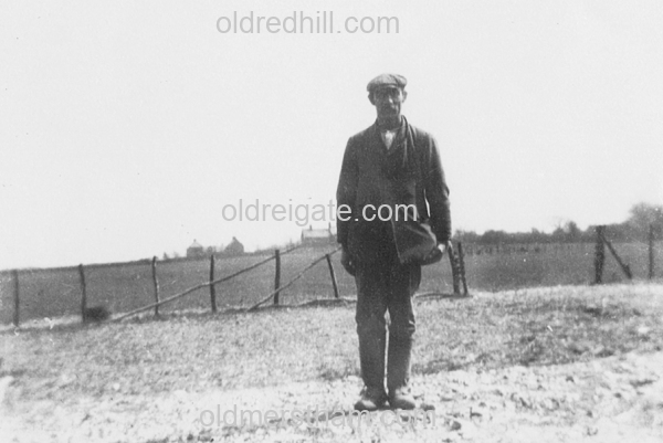 Image number 785&prevurl=chaldon