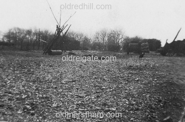 Image number 787&prevurl=chaldon