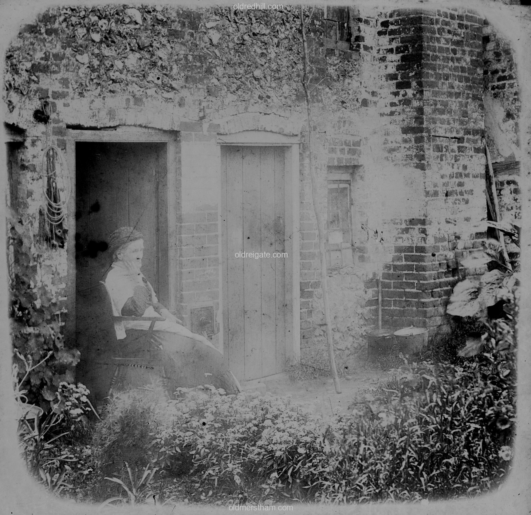 Image number 7878&prevurl=collectionof80photos